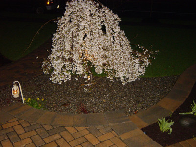 april-09-001